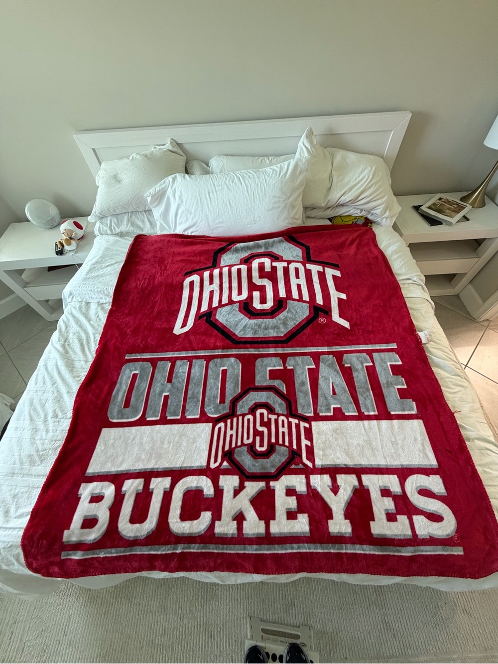 Northwest Ohio State Buckeyes Red and Gray Team Logo Throw